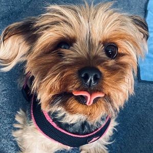 Meet your Posher, Ava